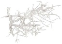 Dry Tree Takjes Twijg White Wash ca. 250 gr