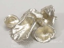Golden Mushroom Platinum Paddenstoel 250 gram