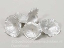 Golden Mushroom White Pearl Paddenstoel 250 gram