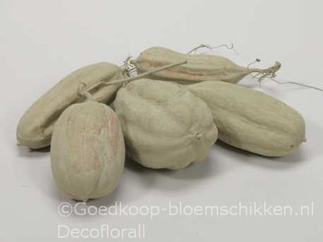 Jhinga fruit Zaaddozen Groen 10 st 