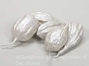 Jhinga fruit Zaaddozen White Pearl 10 st 