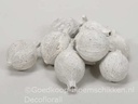 Cowri Fruit Noten White Wash 300 gram