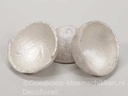 Coconut coco shell half cut White Pearl zak 10 stuks 