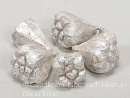Kiyafruit White Pearl Noten 300 gram