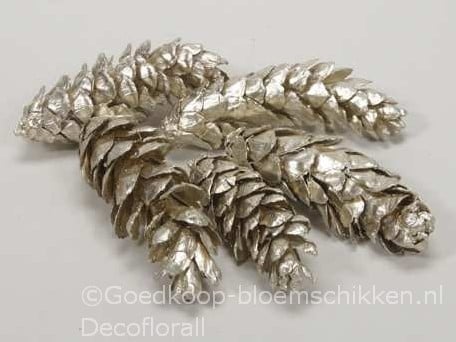 Dennenappel STROBUS Grote dennenappel Platinum 10-15cm Zak50
