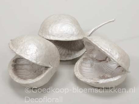 Buddha noten White Pearl 8 stuks