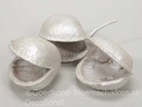 Buddha noten White Pearl 8 stuks