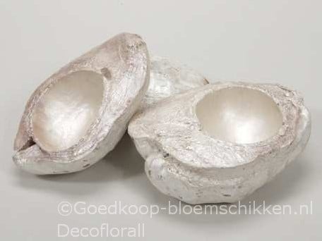 Kokosnoot White Pearl halve 13-16 cm zak 3 stuks