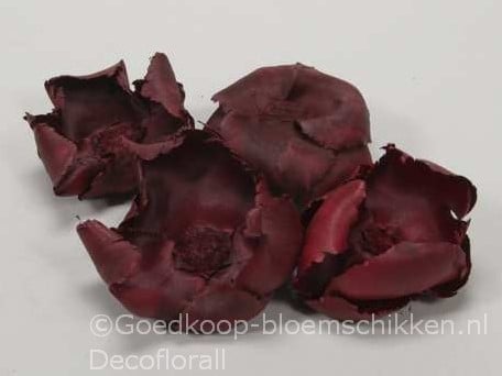 Palm Cup Rood 10 stuks