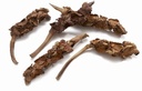 Palm Female Naturel 25-40 cm 5 stuks
