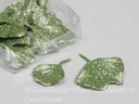 Ginkgo Biloba blad glitter Cedar Groen 16 stuks