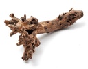 Mulberry wortelstronk Naturel 40-50 cm