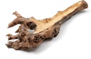 Mulberry wortelstronk hollow Naturel 40-50 cm