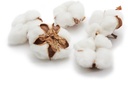 Katoenbollen 2 takjes 3 bollen 28 cm