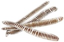 Stepfruit White Tip 25–40 cm 15 stuks