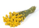 Lona Yellow Droogbloem bundel
