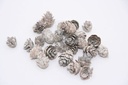 Omorica cone kleine dennenappeltjes White Baby Spruce 2–3 cm 150 gram