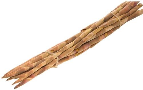 Cannomois Virgata bundel decoratieve stokken