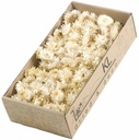 Helichrysum Strobloemhoofdjes Wit 100 g SB