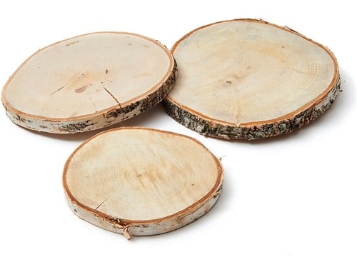 Boomstamschijf Berkenschijf ca. 14 cm 18 mm per stuk
