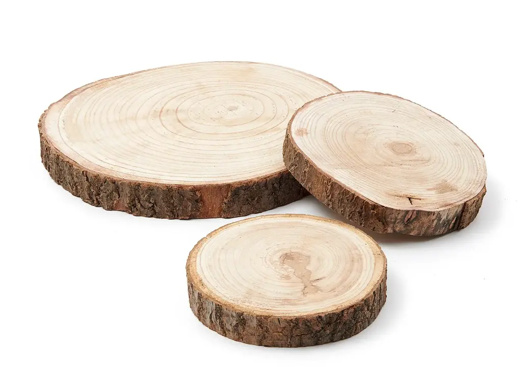 Boomstamschijf Pauwlonia ca. 13 cm per stuk