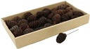 Platyspernum op draad Naturel doos 55 stuks