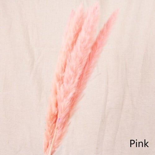 Dried Pampas Fluffy Pink Soft Roze 70 cm