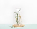 Droogbloemenmix + Euc Creeer Droogbloempakketje excl Accessoires