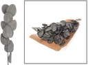Geprepareerd Gepreserveerd Eucalyptus Spiral Groen 100 gr