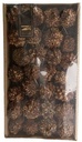 Spidergum Knobs o/w Natural 55 stuks