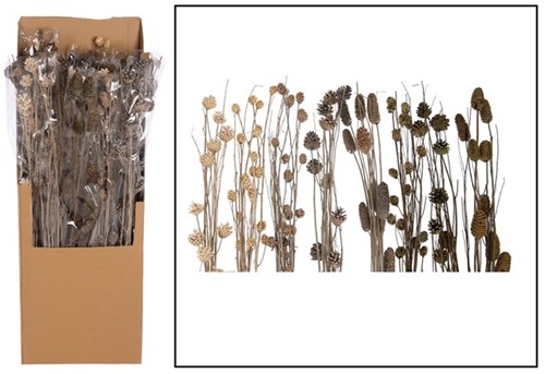 Deco pine stick Naturel 95-100 cm assorti geleverd