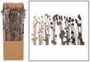 Deco pine stick Naturel 95-100 cm assorti geleverd