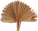 Sun Spear palmspear groot blad Naturel 37×56 cm 10 stuks