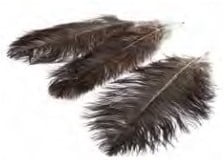 Struisvogelveren Bruin 40–45 cm 3 stuks