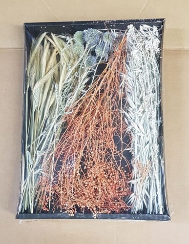 Droogbloempakket Dried flowers mix tray Blue/White 