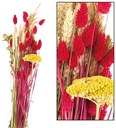 Droogbloemboeket Dried flower bouquet Multi