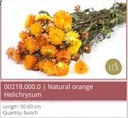 Helichrysum droogbloemen Oranje bundel SB