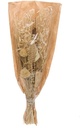 Droogbloemenboeket Bouquet fox ball Mehogany Bleached White