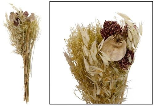 Droogbloemboeket Dried flower bouquet Natural 60 cm 100 gr