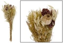 Droogbloemboeket Dried flower bouquet Natural 60 cm 100 gr