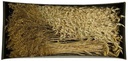 Droogbloempakket Dried flowers mix tray Naturel 