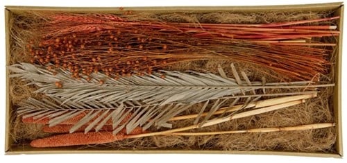 Droogbloempakket Exotic mix tray Terracotta 