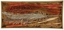 Droogbloempakket Exotic mix tray Terracotta 