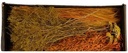Droogbloempakket Dried flowers mix tray Orange 