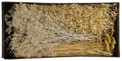 Droogbloempakket Dried flowers mix tray White Whash met yellow 