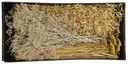 Droogbloempakket Dried flowers mix tray White Whash met yellow 