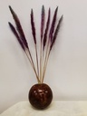 Fluffy Pampas Milka 70gr 75-80cm