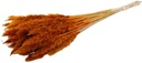 Fluffy Pampas Oranje 70gr 75-80cm