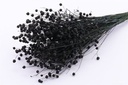 Vlas Flax grass Zwart droogbloemen per bundel
