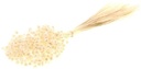 Hill flower bleached white fijne droogbloemen 100gr